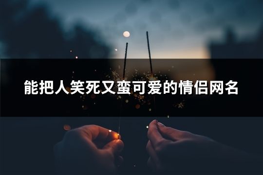 能把人笑死又蛮可爱的情侣网名(共111对)