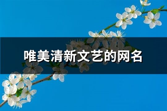 唯美清新文艺的网名(精选851个)