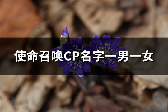 使命召唤CP名字一男一女(共199个)