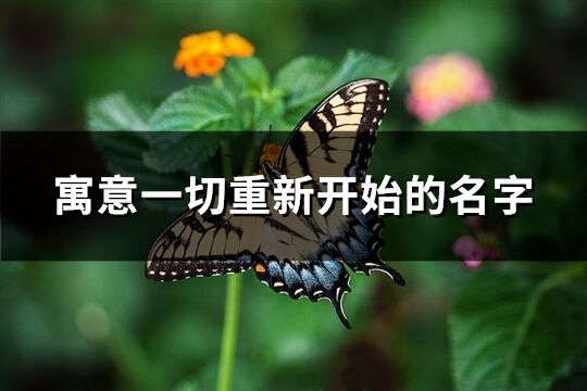 寓意一切重新开始的名字(精选115个)