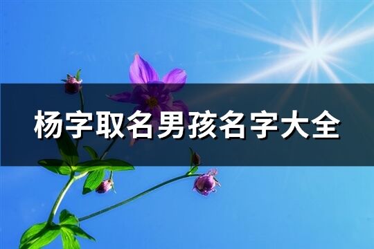 杨字取名男孩名字大全(71个)