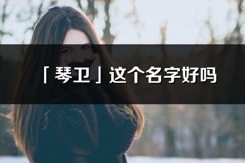 「琴卫」这个名字好吗