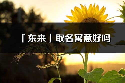 「东来」取名寓意好吗