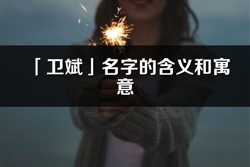 「卫斌」名字的含义和寓意