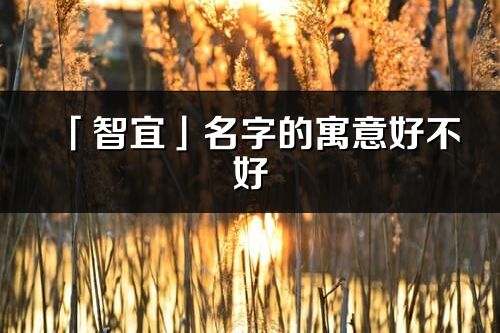 「智宜」名字的寓意好不好