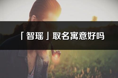 「智瑶」取名寓意好吗