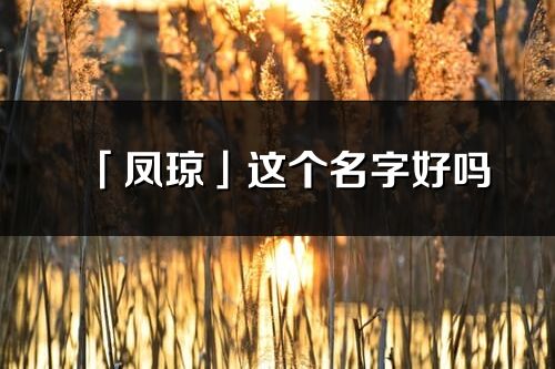 「凤琼」这个名字好吗