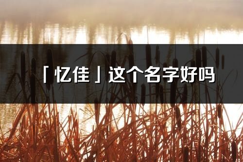 「忆佳」这个名字好吗