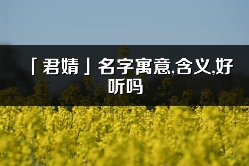 「君婧」名字寓意,含义,好听吗