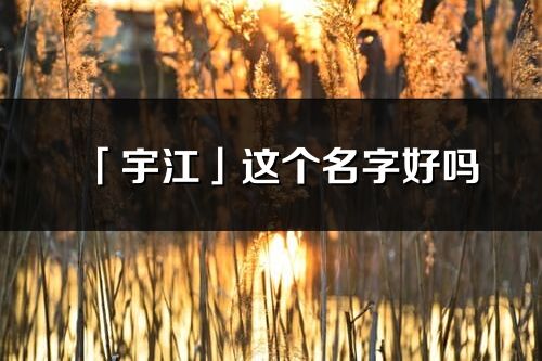 「宇江」这个名字好吗