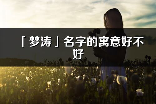 「梦涛」名字的寓意好不好