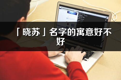 「晓苏」名字的寓意好不好