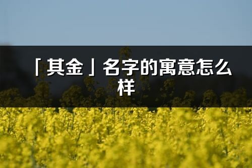 「其金」名字的寓意怎么样