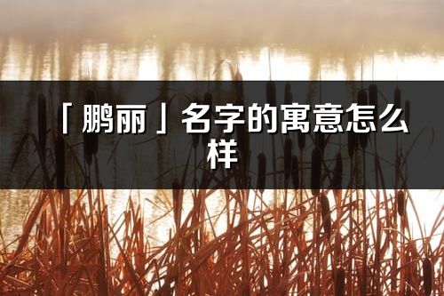 「鹏丽」名字的寓意怎么样