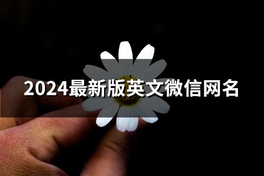 2024最新版英文微信网名(共193个)