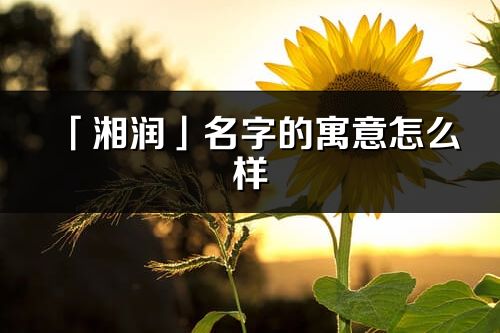 「湘润」名字的寓意怎么样