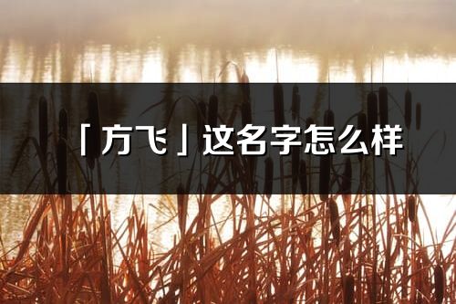 「方飞」这名字怎么样