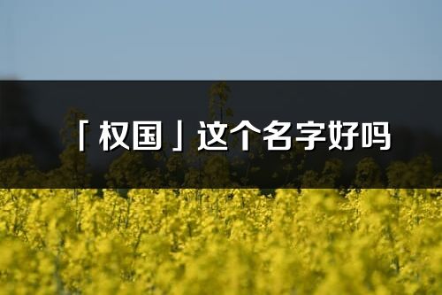 「权国」这个名字好吗