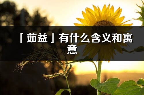 「茹益」有什么含义和寓意