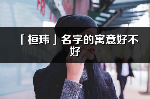 「桓玮」名字的寓意好不好