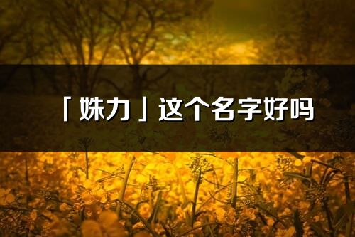 「姝力」这个名字好吗