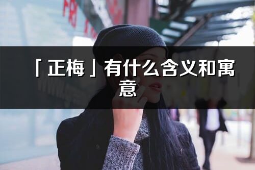 「正梅」有什么含义和寓意