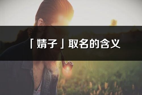 「婧子」取名的含义