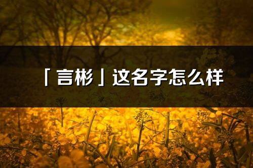 「言彬」这名字怎么样