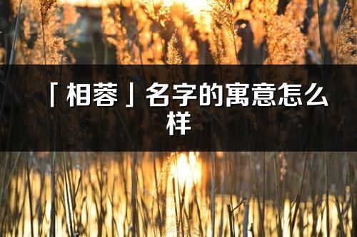 「相蓉」名字的寓意怎么样