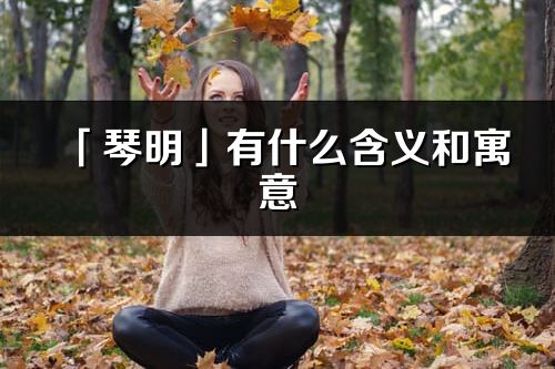 「琴明」有什么含义和寓意