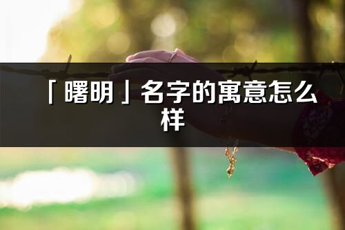 「曙明」名字的寓意怎么样