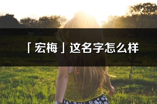 「宏梅」这名字怎么样