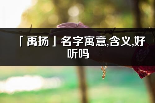 「禹扬」名字寓意,含义,好听吗