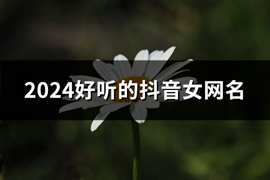 2024好听的抖音女网名(127个)