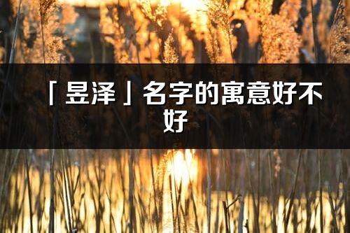 「昱泽」名字的寓意好不好