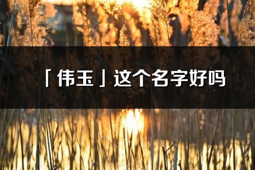 「伟玉」这个名字好吗