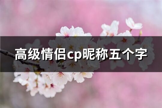 高级情侣cp昵称五个字(共566个)