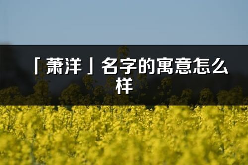 「萧洋」名字的寓意怎么样