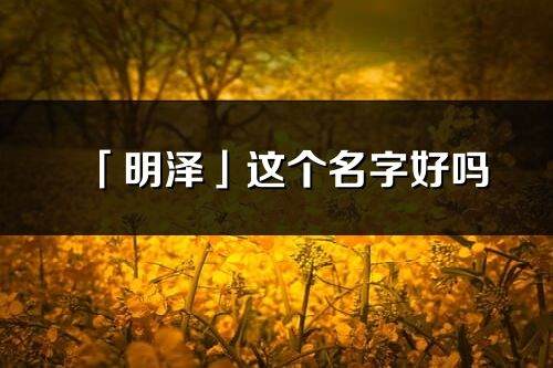 「明泽」这个名字好吗