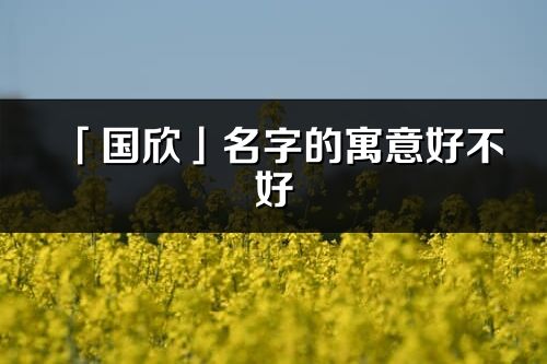 「国欣」名字的寓意好不好