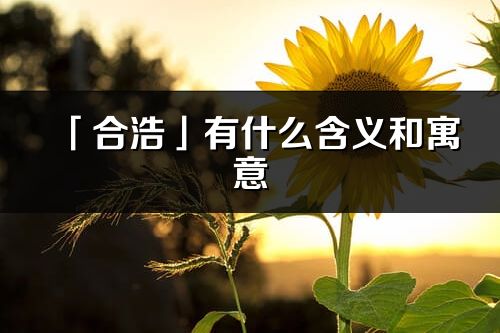 「合浩」有什么含义和寓意