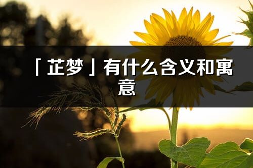 「芷梦」有什么含义和寓意