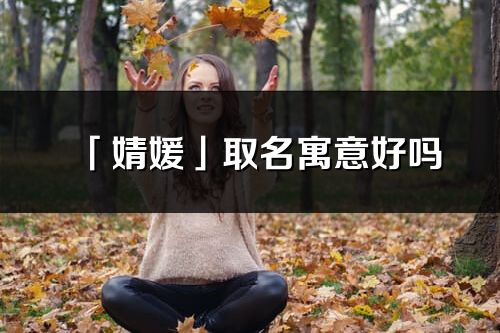 「婧媛」取名寓意好吗