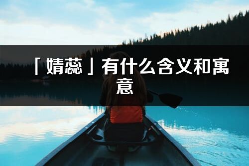 「婧蕊」有什么含义和寓意