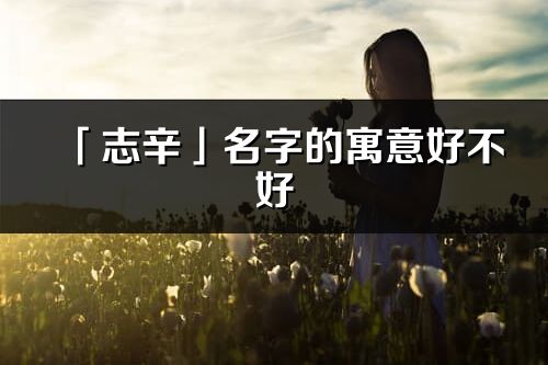 「志辛」名字的寓意好不好