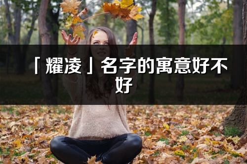 「耀凌」名字的寓意好不好