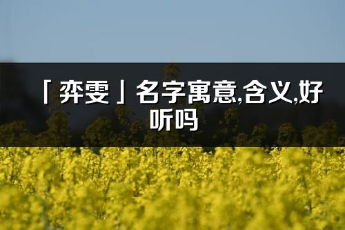 「弈雯」名字寓意,含义,好听吗