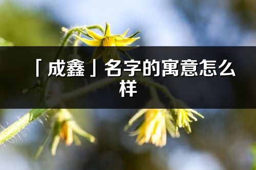 「成鑫」名字的寓意怎么样