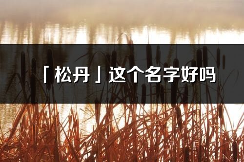 「松丹」这个名字好吗