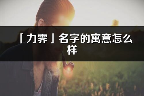 「力霁」名字的寓意怎么样